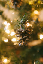 A pine cone on a Christmas tree.
