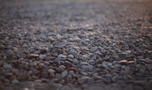 Ground covered in small rocks.