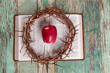 crown of thorns and an apple on a Bible 