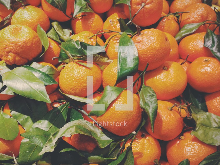 clementines 