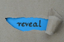 ripped open paper with the word REVEAL