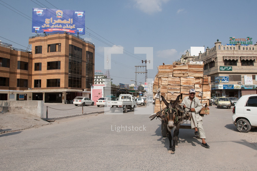 roadside Vendor with a cart and donkey 