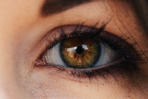 brown eyeball 