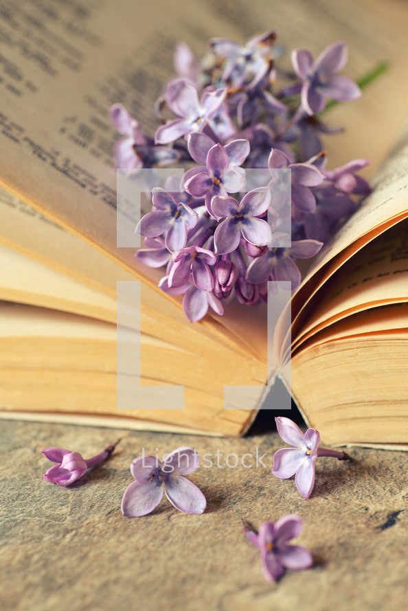 Lilac flowers with open old book