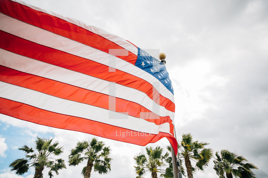 American flag and palm trees 