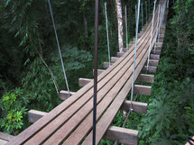 hanging walking bridge 