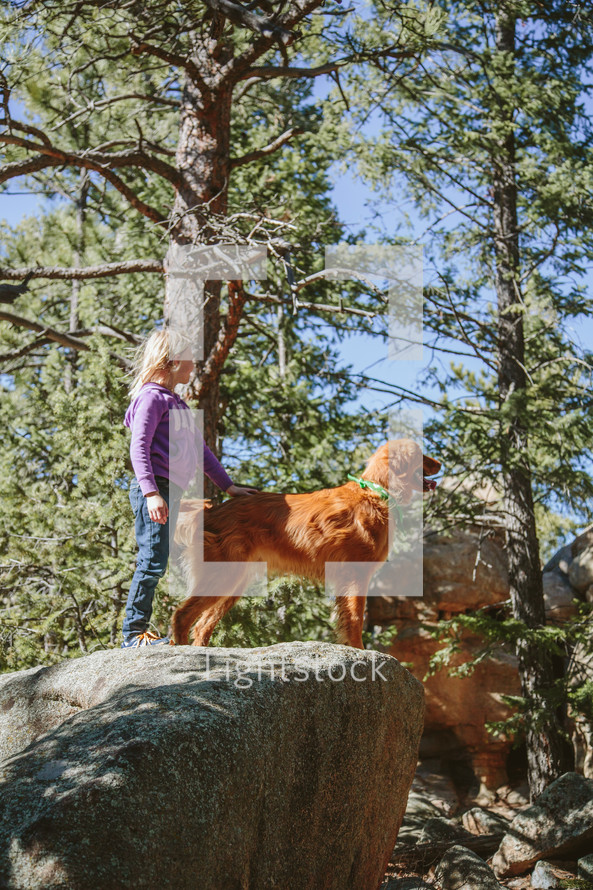 a little standing with her dog on a rock in a forest 