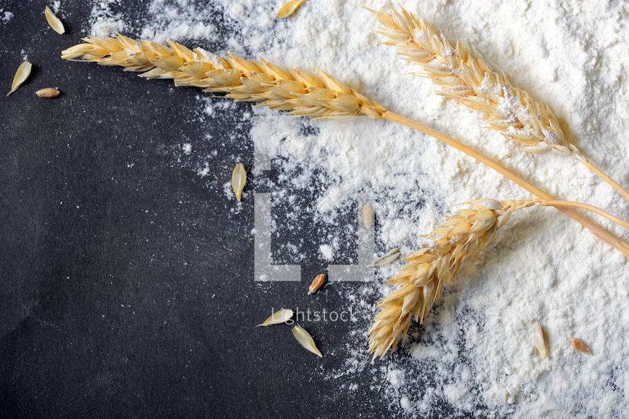 whole flour and wheat ears