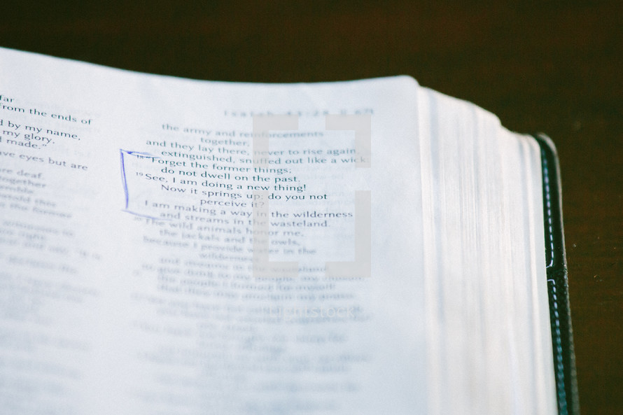 marked pages of the Bible, Isaiah 43:19