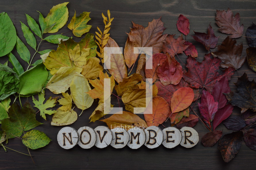 fall leaves border and November 
