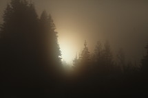 halo of sunlight through fog 