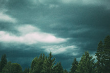 clouds over an evergreen forest 