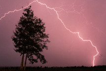 lightning strike over a tree 