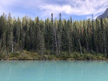 turquoise blue waters and forest 