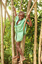 A young boy in a tree