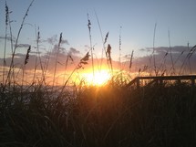 Sunset over a grassy beach