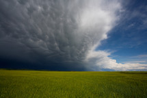 Storm clouds over grass field