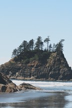 small rocky island with trees 