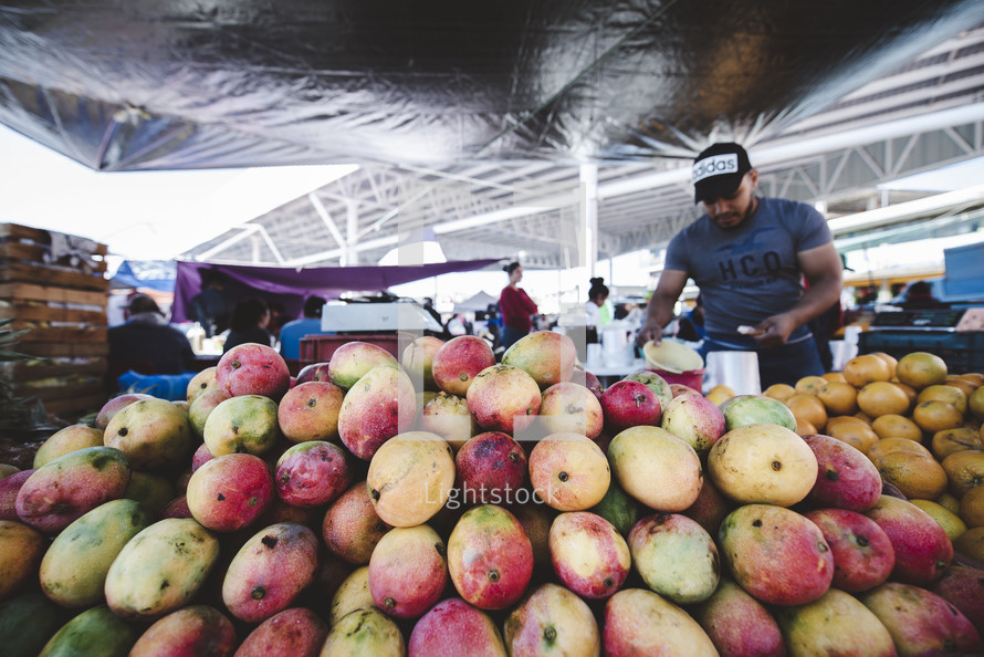 mangos in a market 