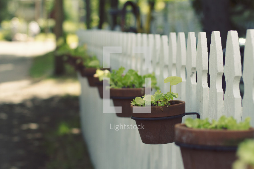 flower pots hanging on a white picket fence 
