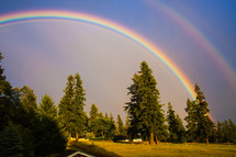 Rainbow in the sky, over field of trees