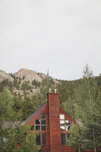 mountain cabin windows