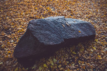 rock in fall leaves 