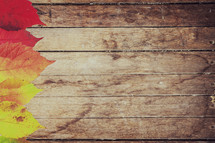 Fall leaves against wood background