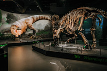 October 2023 - Prague, Czechia. Tyrannosaurus model, triceratops skeleton in Dinosaur Museum. Modern exhibition for children and adults. Education concept. High quality photo