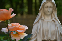 statue of Mary in a rose garden  