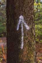 arrow pointing up painted on a tree 