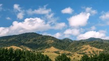 Clouds Time lapse over wild forest nature in summer landscape of New Zealand 
