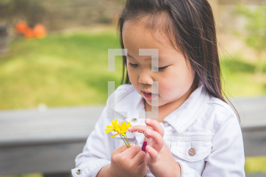 a girl child holding picked flowers