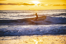surfing at sunset 
