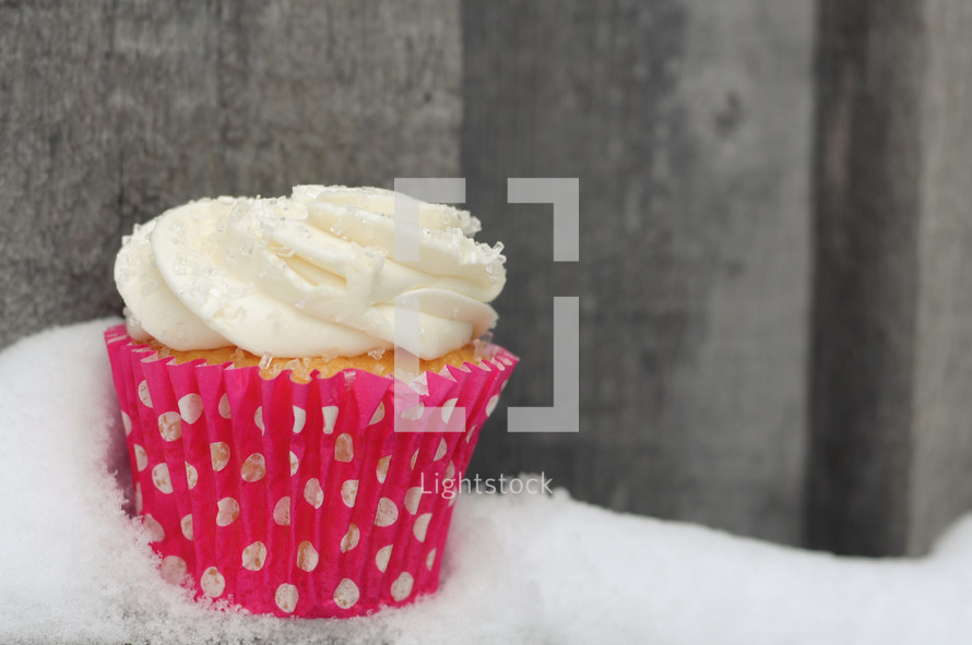 cupcake in snow 