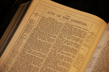 The book of Acts in the Bible