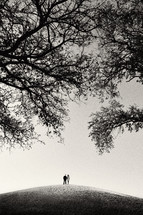 distant couple on a hill under tree branches