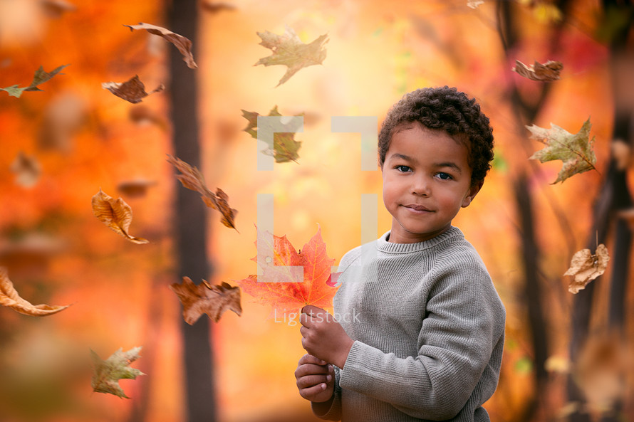 a boy in falling leaves 