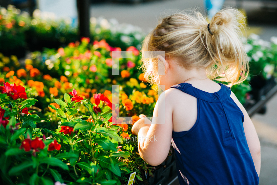 child looking at flowers in a garden center 