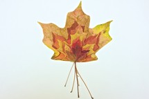 various sized fall maple leaves stacked 