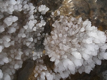 Dead Sea salt crystals 