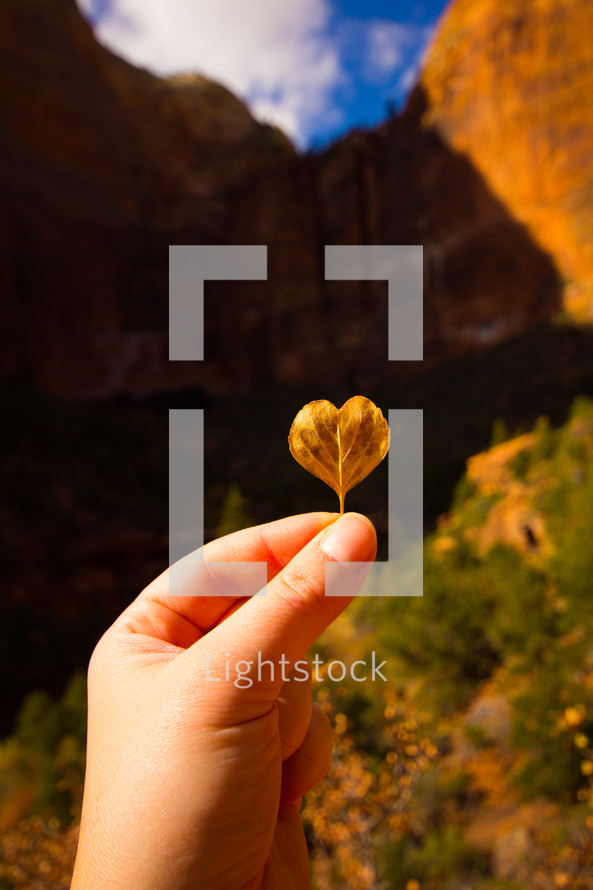 a hand holding up a heart shaped leaf in a canyon 