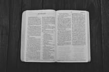 Open Bible in book of Jonah
