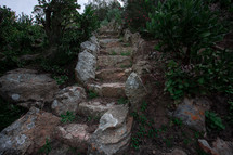 stone steps in a jungle 