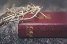 Crown of Thorns with Bible