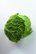 Fresh savoy cabbage isolated on a white background
