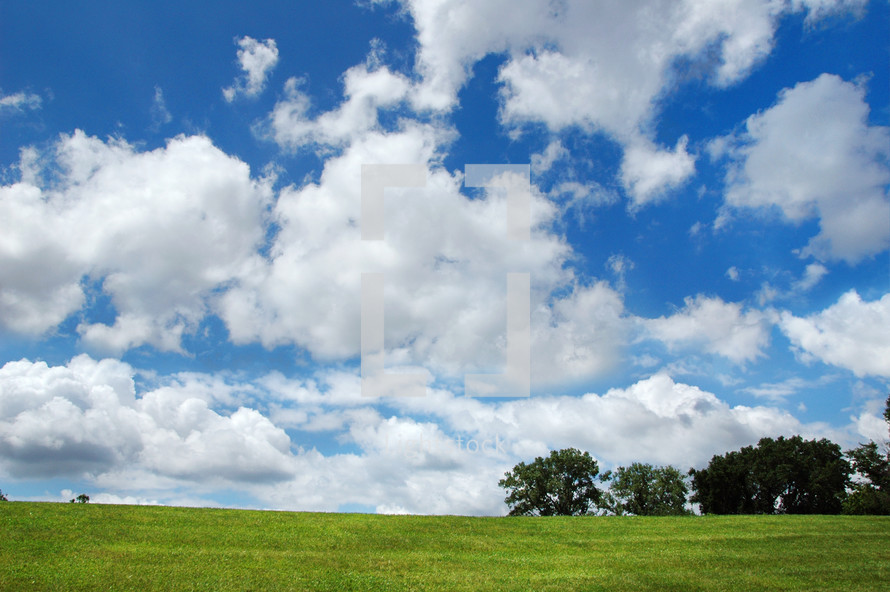 Green grass with trees and a blue sky with white clouds.