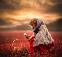 child picking mushrooms in a field 