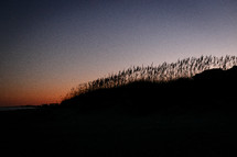 silhouette of dunes at sunset 