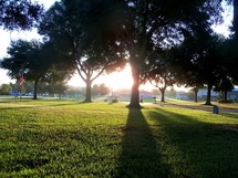 A morning sunrise with rays of sunlight stretching across a field of green grass and casting shadows on the lawn of large trees as the sun penetrates the morning bringing light into the world to start a new day in a typical residential neighborhood.